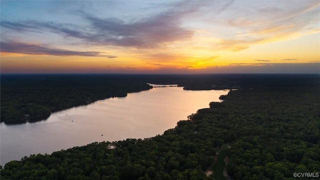 water view with a heavily wooded area