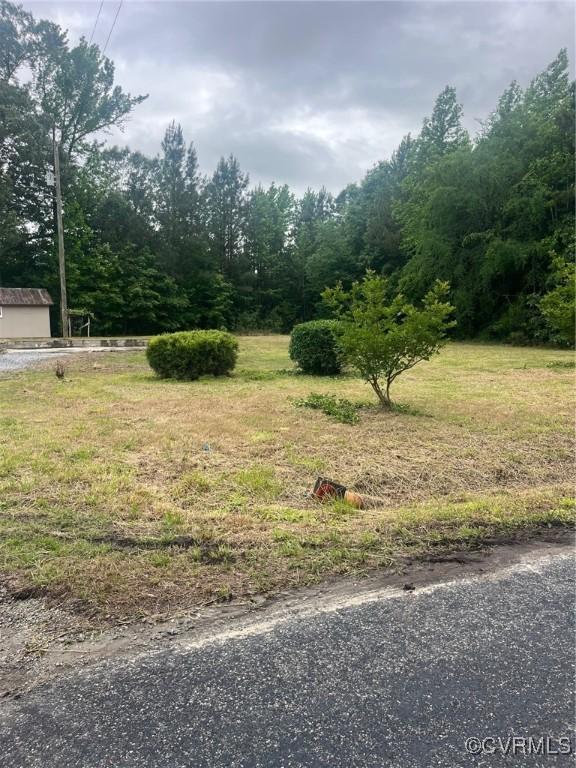 2720 Brunswick Rd, Emporia, VA 23847 - view of yard with a view of trees