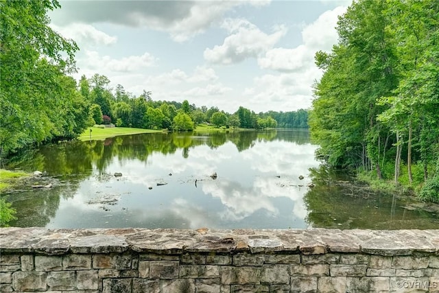 717 Old Stream Rd, Manakin Sabot, VA 23103 - water view featuring a forest
