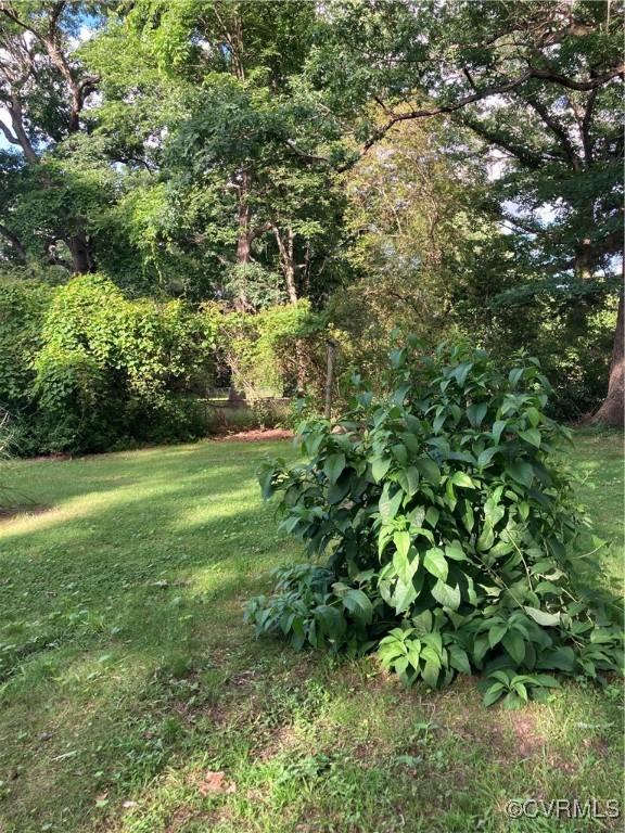 2517 Myron Ave, Chesterfield, VA 23237 - view of grassy yard