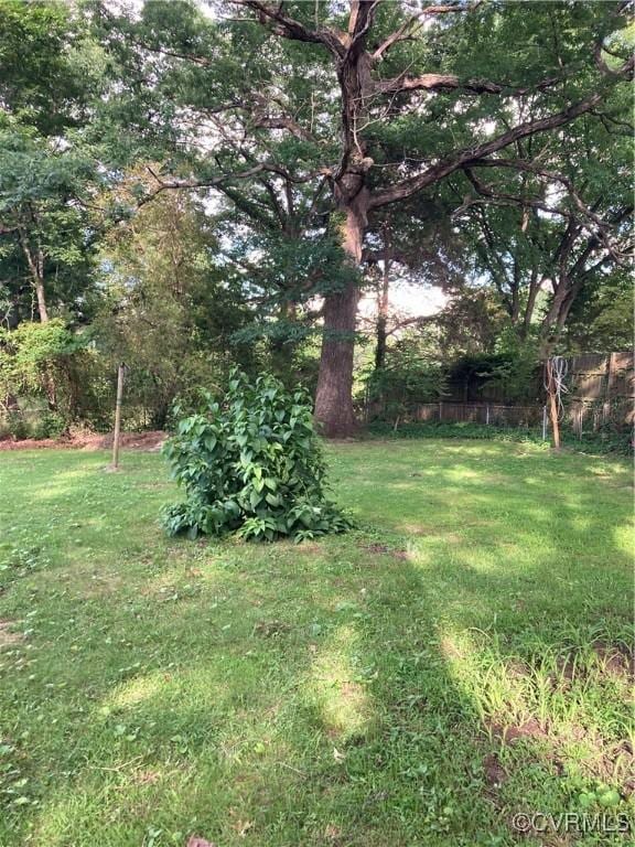2517 Myron Ave, Chesterfield, VA 23237 - view of yard