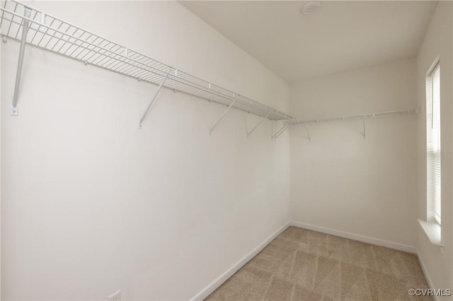 3316 New Heritage Loop, Henrico, VA 23231 - walk in closet with light carpet