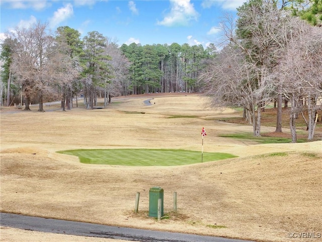 30307 Victoria Way, Petersburg, VA 23805 - view of community featuring a putting green and golf course view