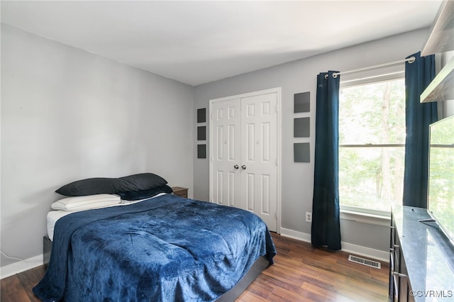 2207 Turtle Hill Cir, Midlothian, VA 23112 - bedroom with baseboards, dark wood-style floors, and multiple windows