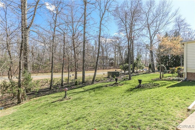 10003 Four Iron Ct, Fredericksburg, VA 22408 - view of grassy yard