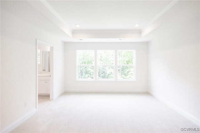 18709 Palisades Cove Trl, Moseley, VA 23120 - spare room with ornamental molding, light colored carpet, a tray ceiling, and recessed lighting