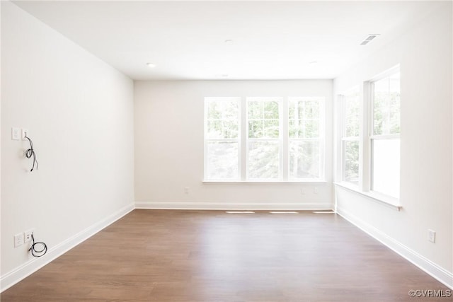 18713 Palisades Cove Trl, Moseley, VA 23120 - unfurnished room with healthy amount of natural light and wood finished floors