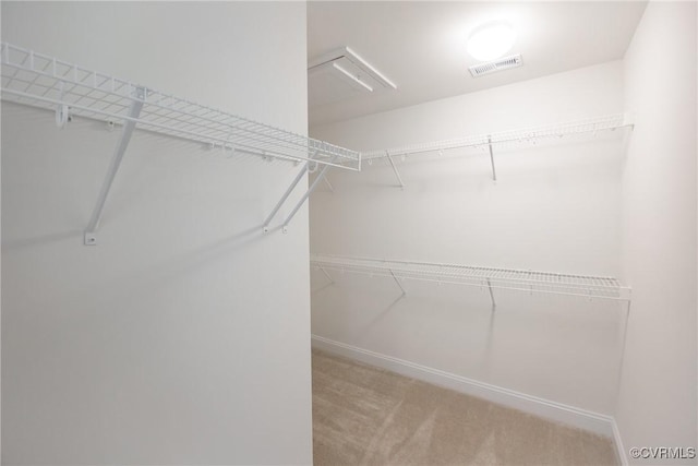 18713 Palisades Cove Trl, Moseley, VA 23120 - walk in closet featuring carpet flooring