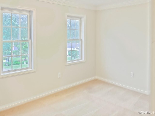 8069 Kiwi Ln, Mechanicsville, VA 23111 - empty room featuring ornamental molding, baseboards, and light carpet