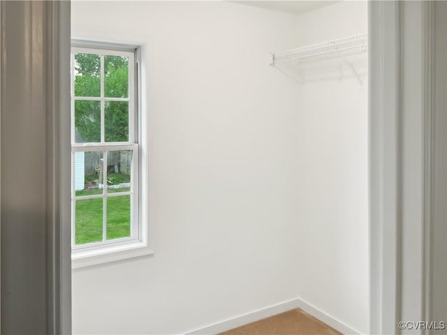 8069 Kiwi Ln, Mechanicsville, VA 23111 - view of walk in closet