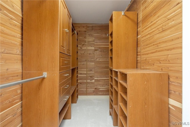 13119 Glenmeadow Ct, Midlothian, VA 23114 - walk in closet featuring carpet