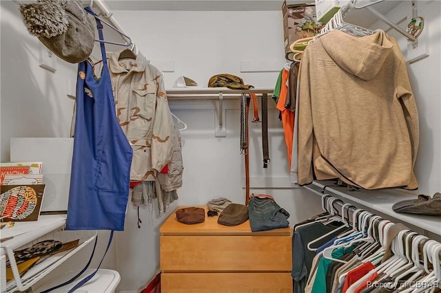 802 Westgate Ct, Newport News, VA 23602 - view of spacious closet