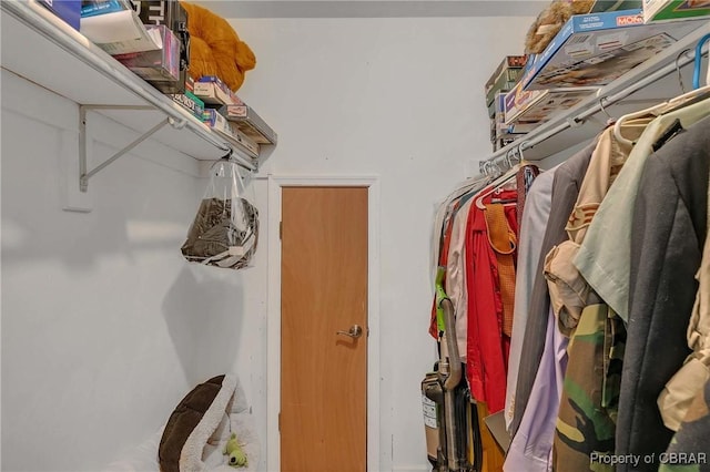 802 Westgate Ct, Newport News, VA 23602 - view of spacious closet