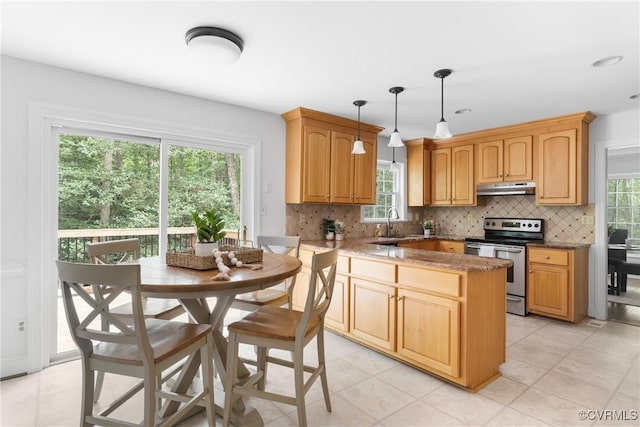 4204 Poplar Grove Ter, Chesterfield, VA 23112 - kitchen featuring stainless steel electric range, a peninsula, healthy amount of natural light, and under cabinet range hood