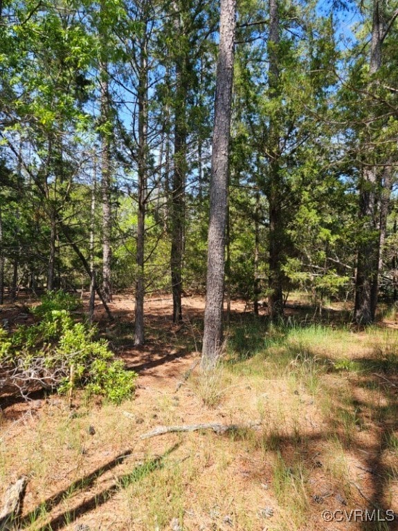 TBD Wood Rd, Lancaster, VA 22503