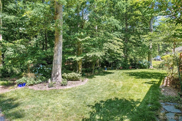 2020 Running Brook Ln, Midlothian, VA 23113 - view of grassy yard