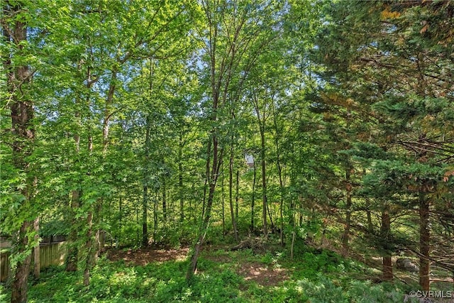 1409 Sycamore Ridge Ct, Midlothian, VA 23114 - view of tree filled area