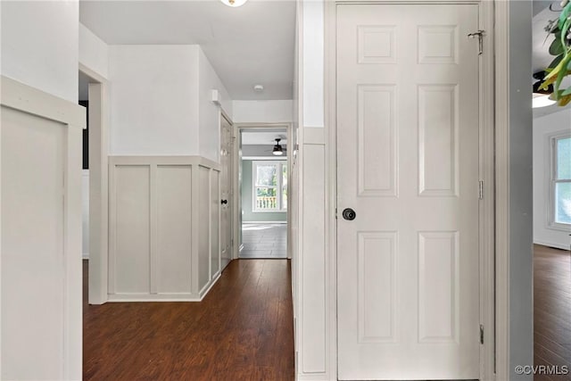 1409 Sycamore Ridge Ct, Midlothian, VA 23114 - hall with dark wood-style flooring, healthy amount of natural light, wainscoting, and a decorative wall