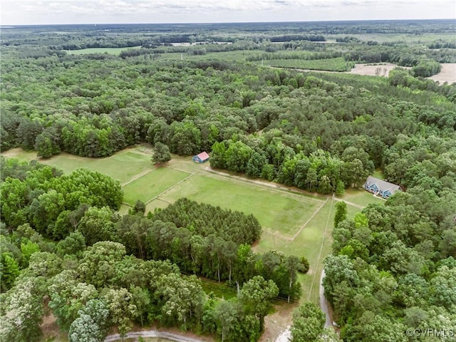 8011 Wood Dr, Disputanta, VA 23842 - bird's eye view of a heavily wooded area