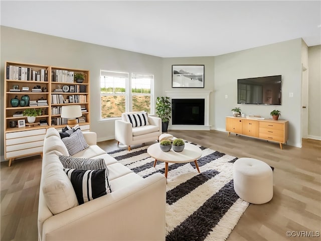 5812 Olas Ct, Richmond, VA 23224 - living area featuring light wood finished floors, a glass covered fireplace, and baseboards