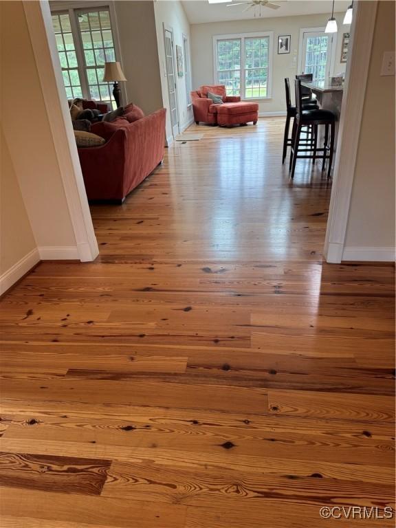 2880 Mill Mount Pkwy, Powhatan, VA 23139 - photo 8