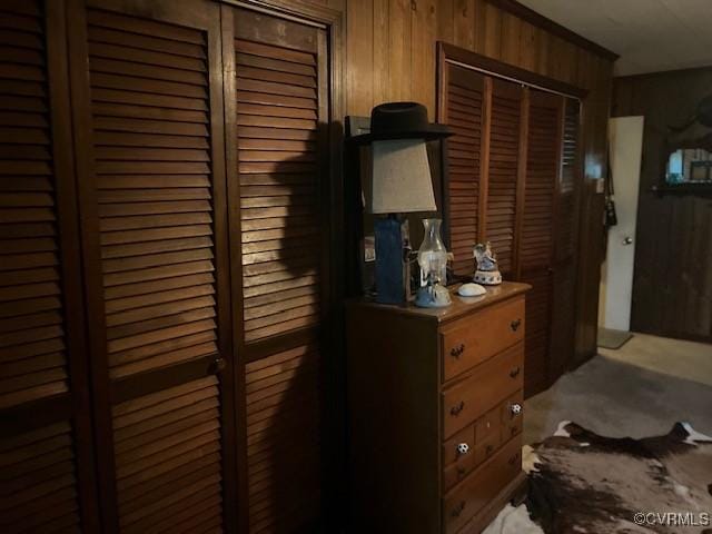 272 Deer Run Trl, Saint Stephens Church, VA 23148 - carpeted bedroom with wooden walls