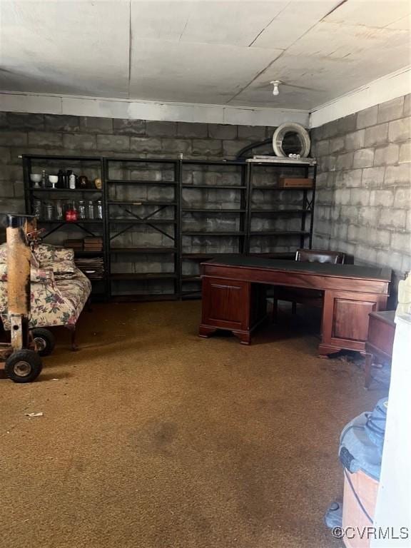 272 Deer Run Trl, Saint Stephens Church, VA 23148 - unfurnished office with concrete block wall and carpet floors