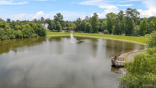 13212 Railey Hill Dr, Midlothian, VA 23114 - water view