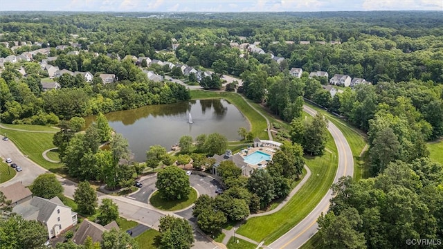 13212 Railey Hill Dr, Midlothian, VA 23114 - bird's eye view of a large body of water and a forest