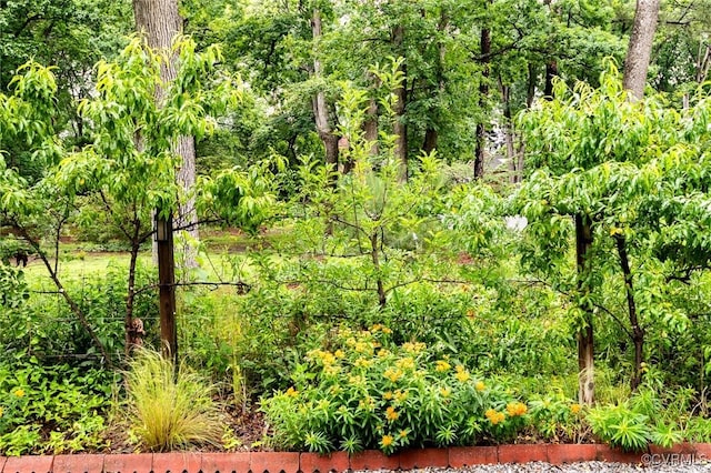 1708 Michaels Rd, Henrico, VA 23229 - view of wooded area