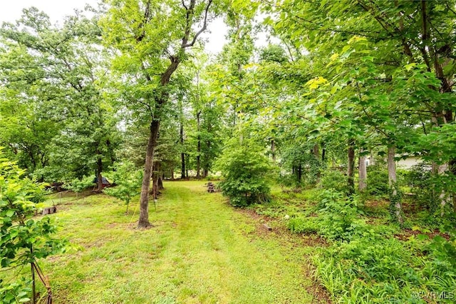 1708 Michaels Rd, Henrico, VA 23229 - view of yard