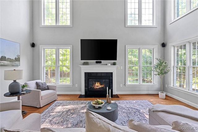 14136 Rigney Dr, Midlothian, VA 23113 - living area with a high ceiling, plenty of natural light, a fireplace with flush hearth, wood finished floors, and baseboards