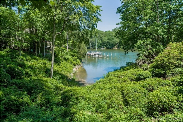 54 Villa Ridge Dr Unit C, Hartfield, VA 23071 - water view featuring a forest and a boat dock