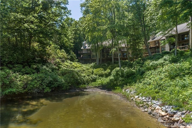 54 Villa Ridge Dr Unit C, Hartfield, VA 23071 - water view