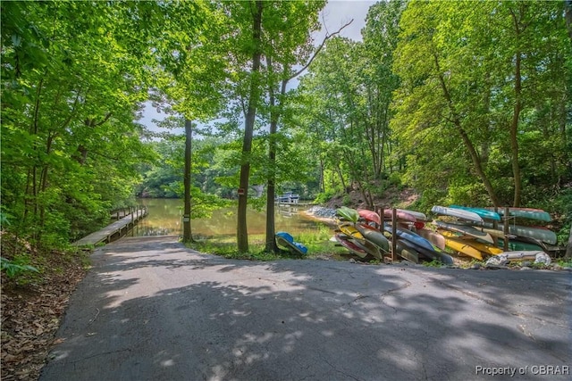 54 Villa Ridge Dr Unit C, Hartfield, VA 23071 - view of road