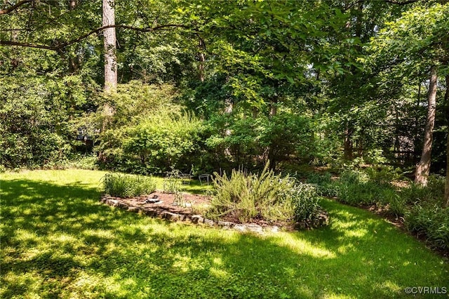 1412 Darrell Dr, Midlothian, VA 23114 - view of green lawn with a forest view