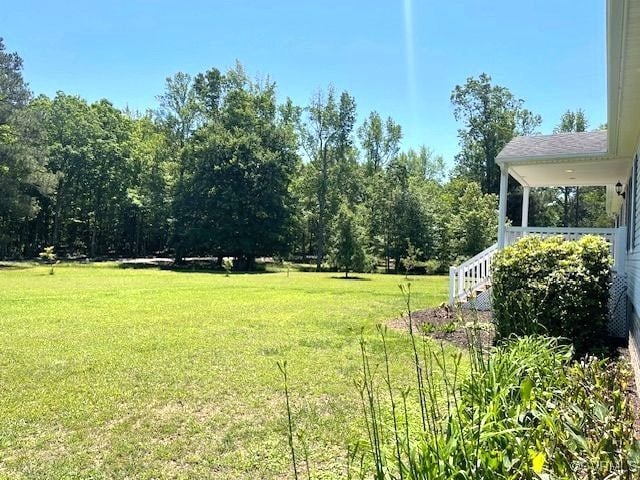 22290 Butterwood Rd, Dinwiddie, VA 23803 - photo 4