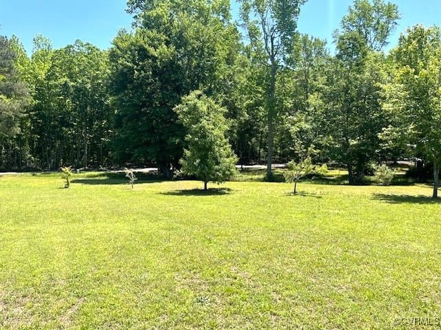 22290 Butterwood Rd, Dinwiddie, VA 23803 - photo 40