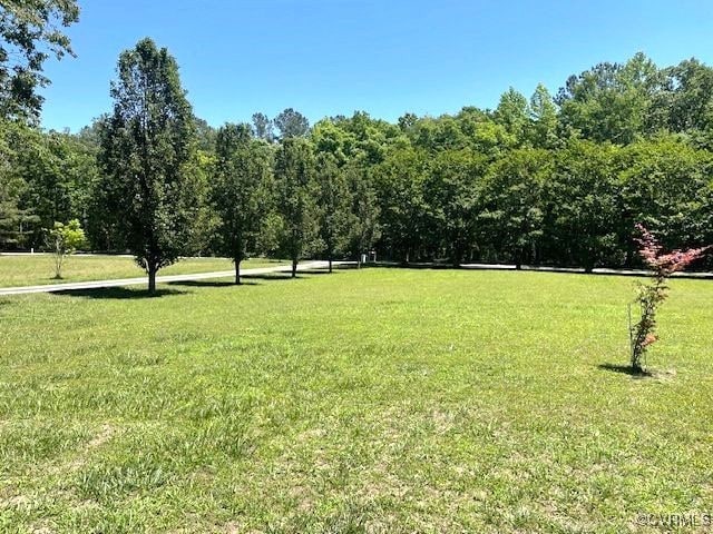22290 Butterwood Rd, Dinwiddie, VA 23803 - photo 5