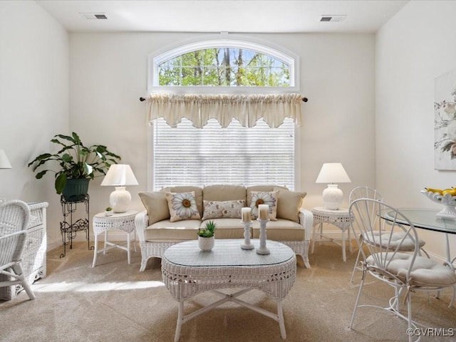 442 Dunlin Ct, Midlothian, VA 23114 - photo 24