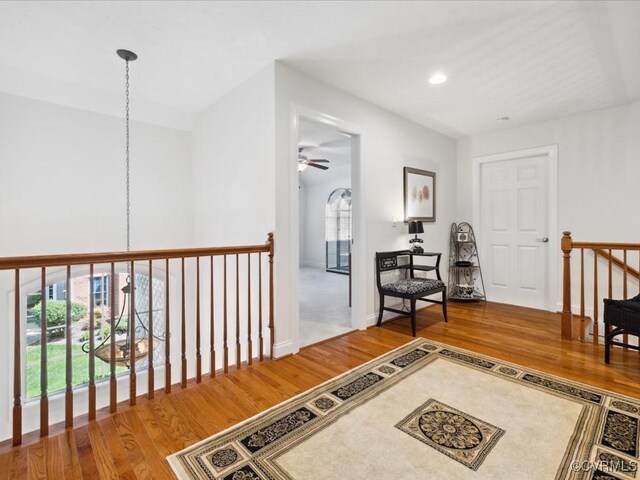 442 Dunlin Ct, Midlothian, VA 23114 - photo 32