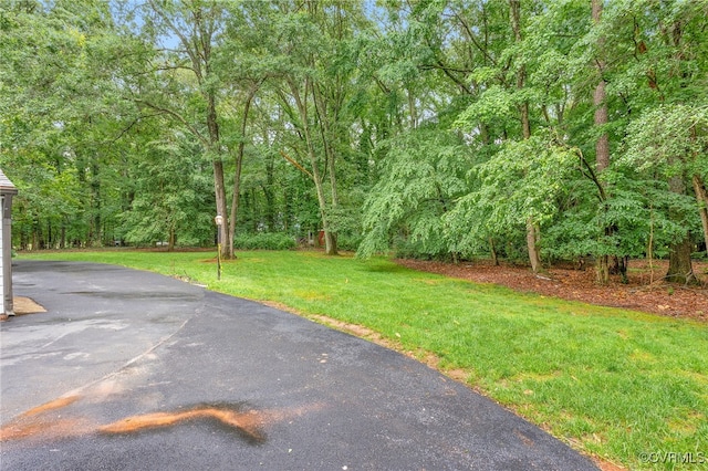 13531 W Salisbury Rd, Midlothian, VA 23113 - view of green lawn featuring a forest view