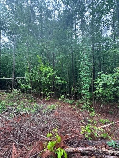 0 Macedonia Rd, Greenville, VA 23847 - photo 2