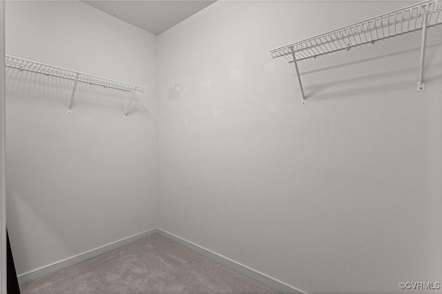 1753 Rose Mill Cir, Midlothian, VA 23112 - spacious closet featuring carpet floors