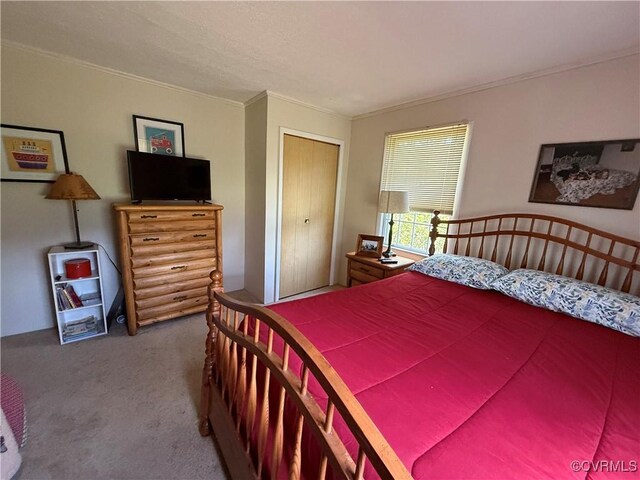 1686 Locust Grove Rd, Topping, VA 23169 - carpeted bedroom with ornamental molding and a closet