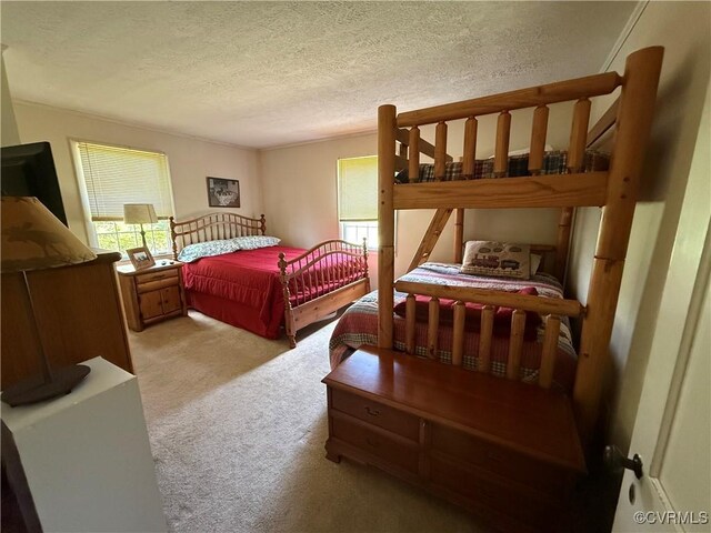 1686 Locust Grove Rd, Topping, VA 23169 - bedroom with light carpet and a textured ceiling