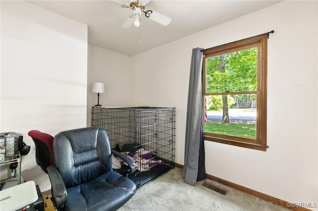 19504 Walker Ave, Chesterfield, VA 23834 - living area with carpet, baseboards, and a ceiling fan