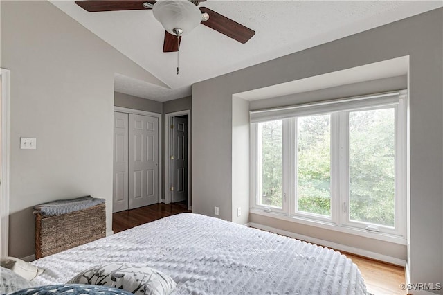 12125 Shore View Dr, Henrico, VA 23233 - bedroom with wood finished floors, vaulted ceiling, a closet, and ceiling fan