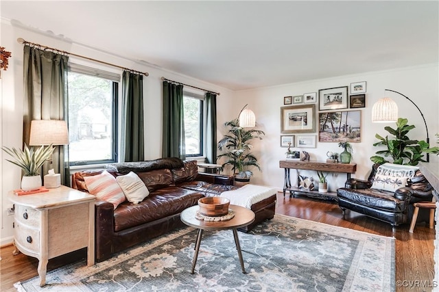 8415 Freestone Ave, Henrico, VA 23229 - living room featuring wood finished floors and ornamental molding