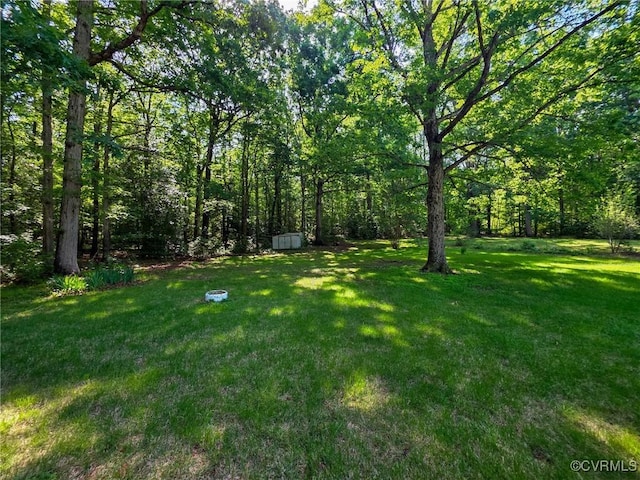 16121 Rowlett Rd, Chesterfield, VA 23838 - view of green lawn